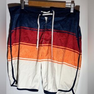 Men's Multicolor Swim Shorts